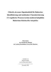 Chlorid, ein neues Signalmolekül für Bakterien