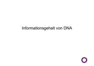 Informationsgehalt von DNA