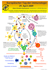 Europäischer Tag der Immunologie