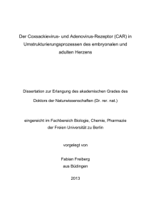 CAR - Dissertationen Online an der FU Berlin