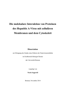 Die molekulare Interaktion von Proteinen des Hepatitis A - E-LIB