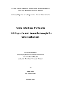 Feline Infektiöse Peritonitis. Histologische und immunhistologische