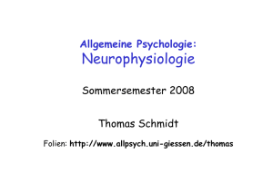 Biologische Psychologie - Allgemeine Psychologie