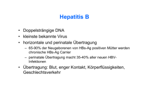 Hepatitis B - infektionsnetz
