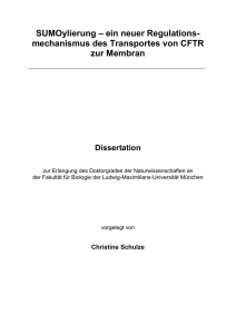 SUMOylierung - Elektronische Dissertationen der LMU München