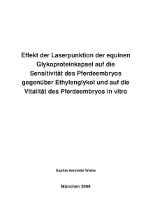 Effekt der Laserpunktion der equinen Glykoproteinkapsel auf die