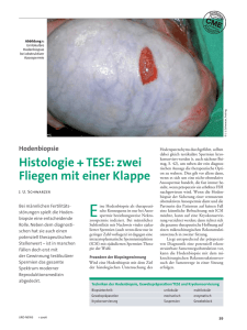 Histologie + TESE - Andrologie-Centrum