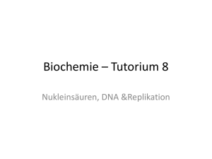Biochemie – Tutorium 8
