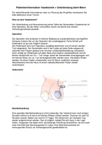 Patienteninformation Vasektomie = Unterbindung beim Mann