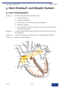 5. Herz-Kreislauf- und Abwehr