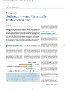 Autismus – wenn Nervenzellen kontaktscheu sind