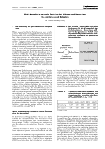 article - Lohmann Information