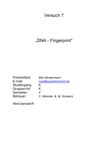 Versuch 7 - DNA Fingerprint
