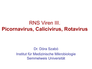 RNS Viren III. Picornavirus, Calicivirus, Rotavirus RNS Viren IV