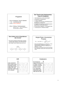 Programm Wright-Fisher: binomischer Prozess Koaleszenz