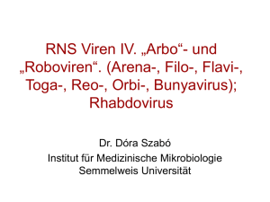 RNS Viren III. Picornavirus, Calicivirus, Rotavirus RNS Viren IV. „Arbo“