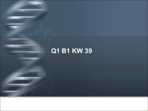 Q1 B1 KW 39