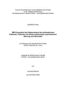 Dissertation_Böhme_010610_final - Internet