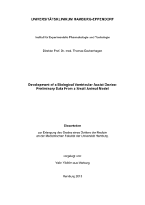 Development of a Biological Ventricular Assist Device: Preliminary