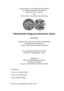 Metabolische Prägung embryonaler Zellen