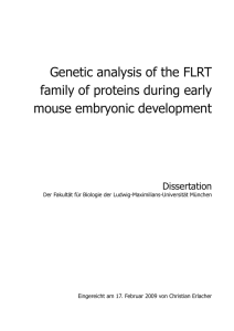 Genetic analysis of the FLRT family of proteins during early mouse