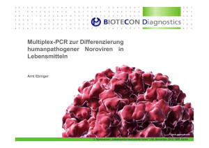 Multiplex-PCR zur Differenzierung humanpathogener Noroviren in