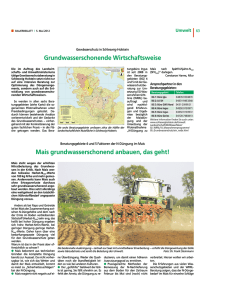 Bauernblatt Artikel 2012, Nr. 3 Mais grundwasserschonend anbauen