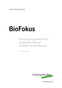 Forschung mit gentechnisch veränderten Pflanzen: Ein Risiko für die