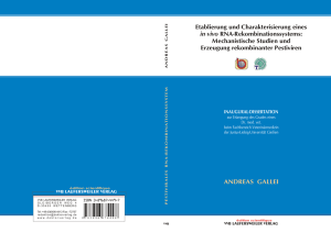 Etablierung und Charakterisierung eines in vivo RNA