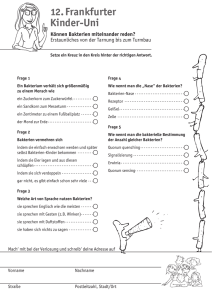 Fragebogen 4 - 13. Frankfurter Kinder-Uni