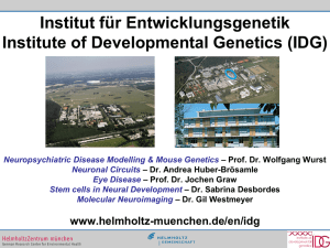 Institut für Entwicklungsgenetik Institute of Developmental Genetics