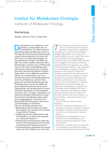 Die Institute Institut für Molekulare Virologie
