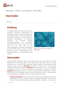 Stammzellen Einleitung Stammzellen