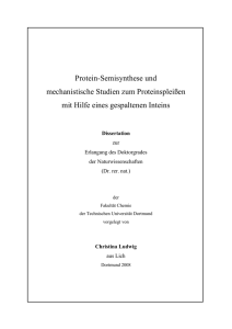 Protein-Semisynthese und mechanistische Studien zum