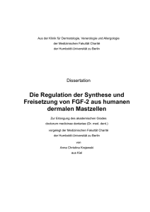 Die Regulation der Synthese und Freisetzung von FGF-2 aus