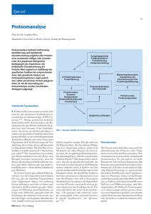 Proteomanalyse
