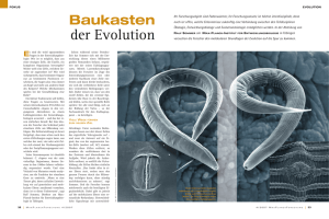Baukasten der Evolution - Max-Planck