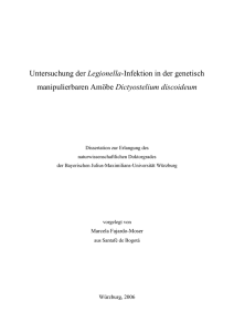 Untersuchung der Legionella-Infektion in der genetisch