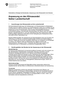 Faktenblatt: Anpassung an den Klimawandel