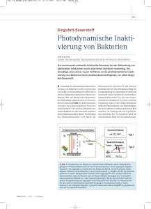 Photodynamische Inaktivierung von Bakterien