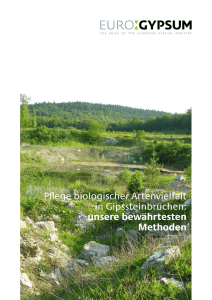 Pflege biologischer Artenvielfalt in Gipssteinbrüchen