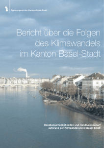 Bericht über die Folgen des Klimawandels im Kanton Basel