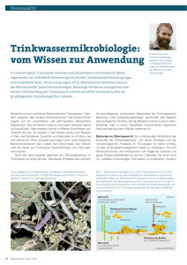 Eawag News 70: Trinkwassermikrobiologie – vom Wissen zur
