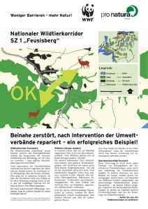 Nationaler Wildtierkorridor SZ 1 „Feusisberg“ Beinahe zerstört, nach