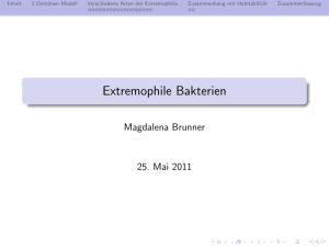 Extremophile Bakterien