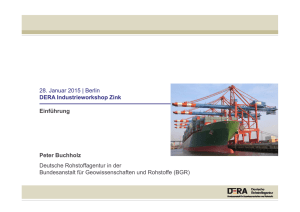 Einführung DERA Industrieworkshop Zink