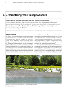 Merkblatt 4: Vernetzung von Fliessgewässern