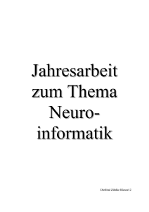 The Human Brain Project - Institut f&uuml;r Informatik