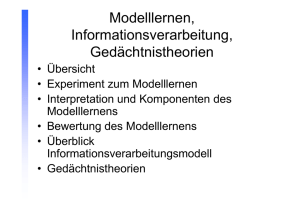 Modelllernen, Informationsverarbeitung