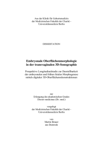 Embryonale Oberflächenmorphologie in der transvaginalen